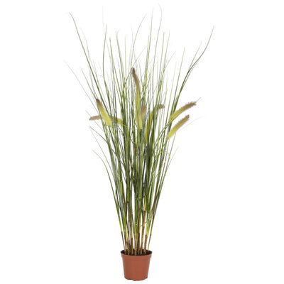 2.5' Grass Plant Default Title